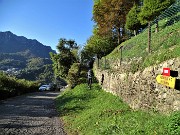 CIMA MENNA (2300 m) da Zorzone ad anello con discesa dal Chignol d’Arale-11ott21  -  FOTOGALLERY